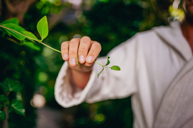 Bild für Kategorie Hand & Haar